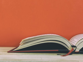 Library Book Check Outs