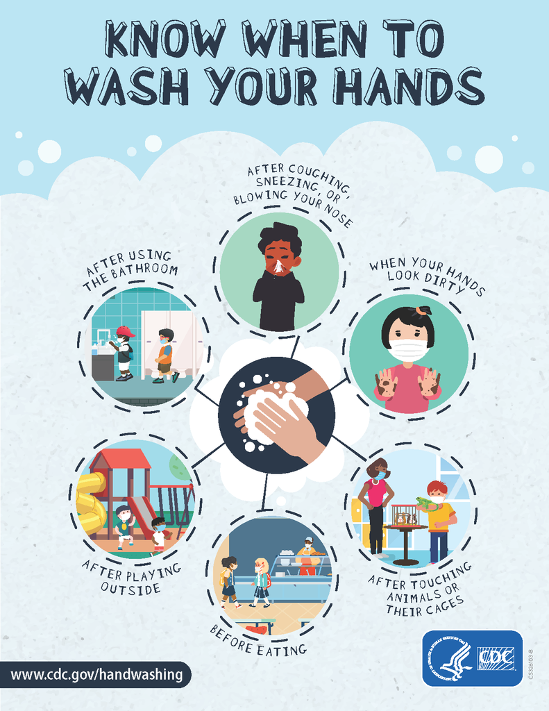 Know When to Wash Your Hands Flyer