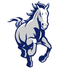 IHS